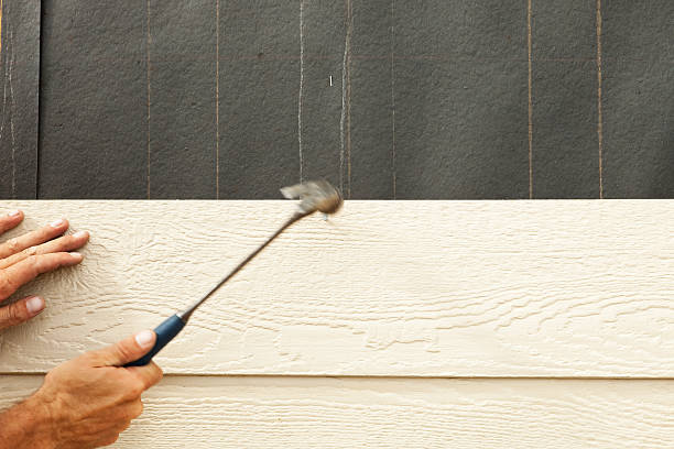 Best Custom Siding Design  in Monaca, PA